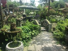 -青城甲(青城山店)