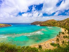 -咏春拳学总会·一拳咏春(双井店)