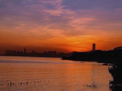 -深圳湾公园(南山区)