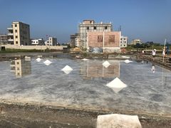 -盐洲岛