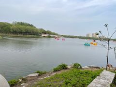 -大兴滨河森林公园