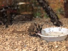 -上海大自然野生昆虫馆