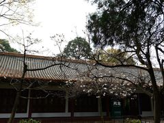 -昆明市金殿名胜区