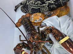 -阿浪海鲜连锁•海鲜加工•老字号(第一市场店)