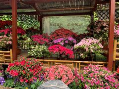 -惠山古镇·寄畅园