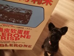 -好利来(团结湖店)