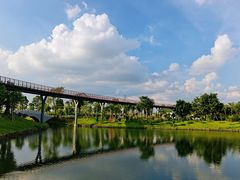 -王借岗森林公园