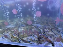 -白仁仔· 活烤海鲜 宵夜(豫园店)