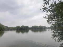 -天下玉苑