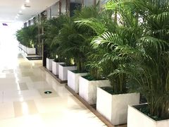 -肆味(东原1891江景店)
