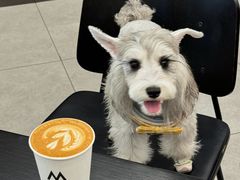 -M Stand(西安大悦城店)