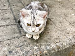 -贾家饦饦馍(回民街店)
