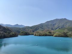 -龙坞茶村