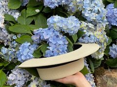 -MOJ coffee(瓯海泽雅水碓坑店)