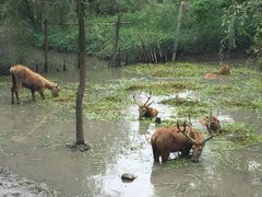 -溱湖国家湿地公园