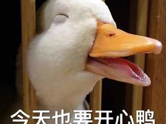 -原麦山丘(五棵松华熙店)