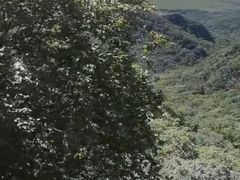 -吉林拉法山