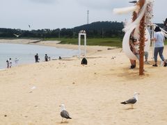 -海驴岛(荣成市)