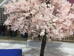 -Mr·Kuma酷么先生雪之乐园