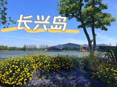 -上海长兴岛郊野公园