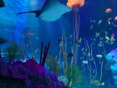 -沈阳海洋探索中心