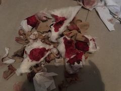 -宠Ta宠物生活馆(济宁任城区)