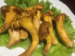 野生菌汤锅-菌之家·专业纯野生菌火锅·特色炒菌