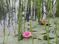 -昆山城市生态森林公园