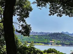 -上海佘山国家森林公园西佘山园