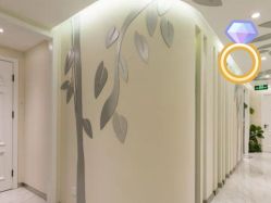 -健身堂科技美肌SPA