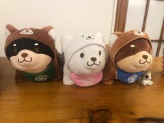 -豆柴町-柴犬主题狗咖(红鼎国际C座店)