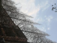-上海大学(嘉定校区)