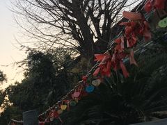 -章华寺