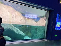 -福州罗源湾海洋世界旅游区