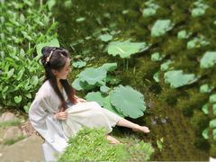 -陈家山荷花公园
