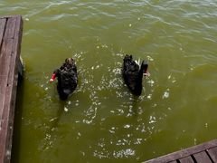 -南大港湿地风景区