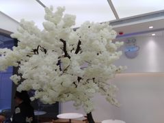 -艾薯夫妇Aysh(福田星河COCOPark店)