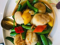 碧绿菌皇炒带子-喜粤8号(四海唐人街店)