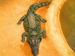 -西霞口神雕山野生动物世界