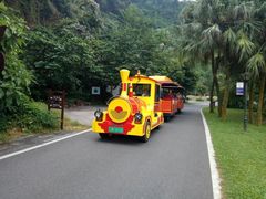 小火车-湖光岩风景区