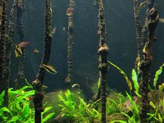 -成都浩海立方海洋公园