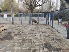 -长白岛森林公园