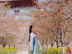 -古柏渡飞黄旅游区