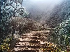 -中国茶叶博物馆(双峰馆区)