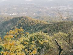 -广州市帽峰山景区