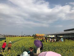-迪茵湖田家舍生态农场