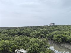 -北海金海湾红树林生态旅游区