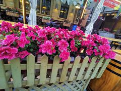 -巴伐利亚啤酒坊(意式风情街店)