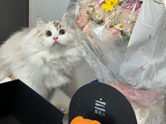 -慕叁山(青岛店)