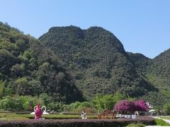 -靖西鹅泉风景区
